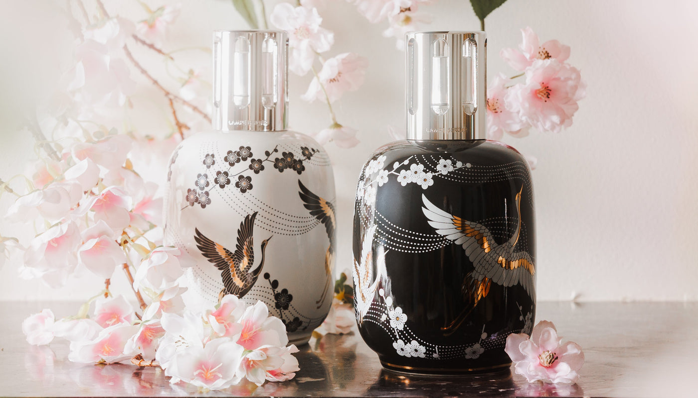 Diffuseurs de parfum pour la maison : un monde de senteurs s'offre à vous !