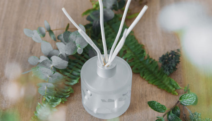 Diffuseurs d'huiles essentielles non électriques : senteurs et bien-être dans votre intérieur