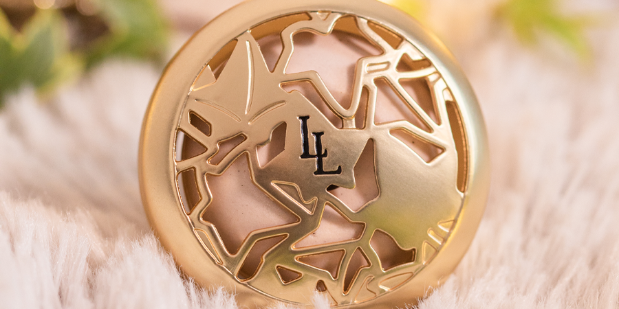 Un savoir-faire français
les diffuseurs de voiture