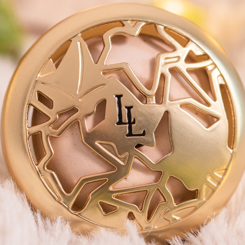 Un savoir-faire français
les diffuseurs de voiture