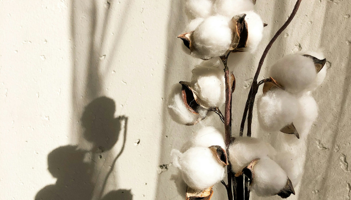 Diffuseurs de parfum Fleur de Coton : douceur et volupté dans votre intérieur