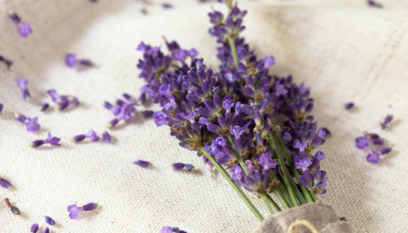 Diffuseurs de parfums à la lavande : fraîcheur et propreté dans votre intérieur