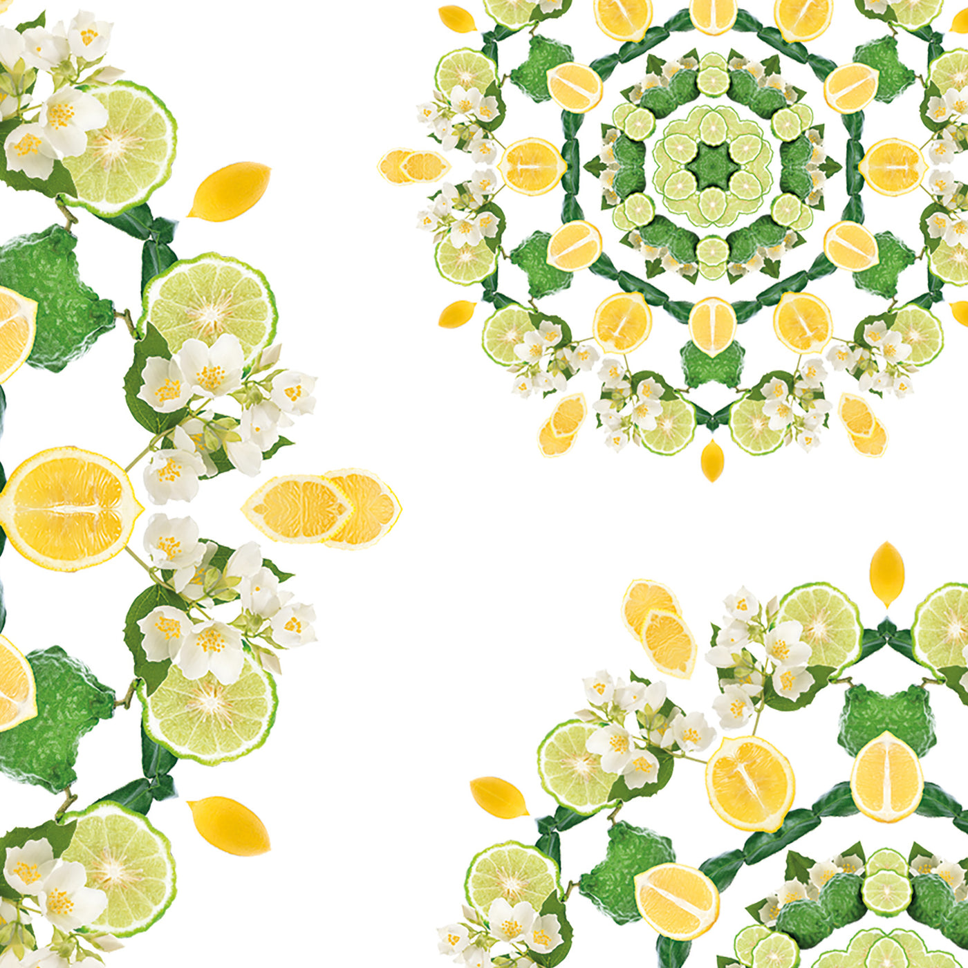 Fleur de Citronnier