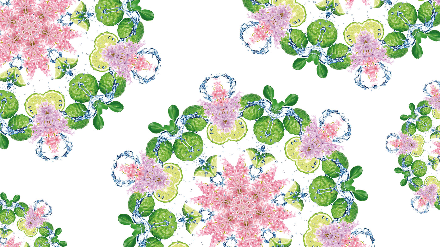 Mon Intérieur Sans Odeurs de Renfermé