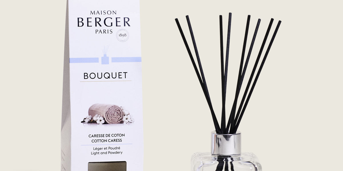 MAISON BERGER, Bouquet parfumé Facette Noir & Caresse de Coton, Rêves de  Pureté