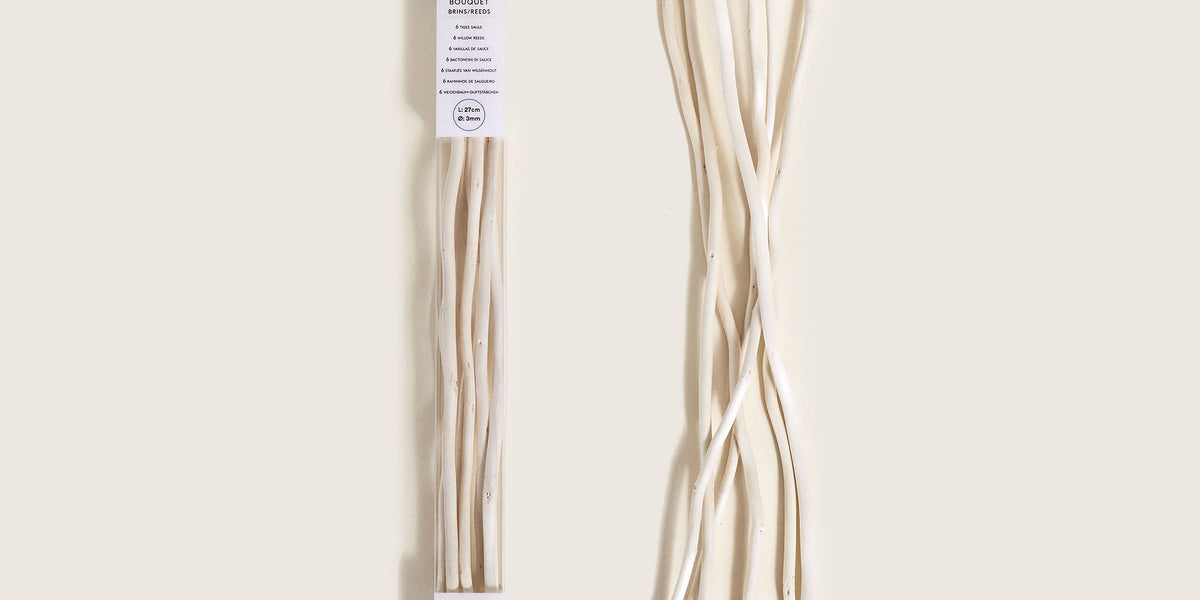 Etui 6 Sticks Zwart Lang (27 cm) Maison Berger Paris - Au Goût Exclusif
