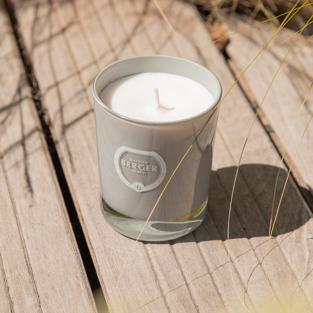 La bougie parfumée Citronnelle