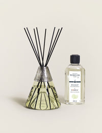 Bouquet parfumé Maison Berger Paris by Starck Peau d'Ailleurs