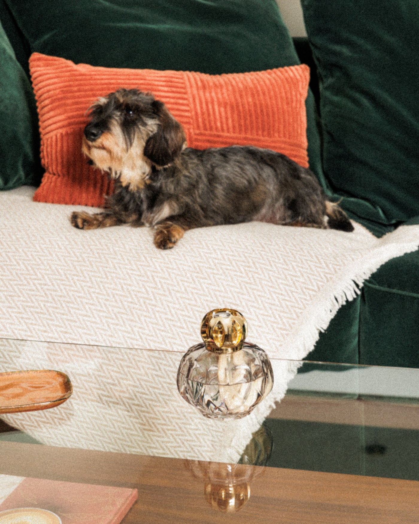 Coffret lampe Berger Rosalie Grise