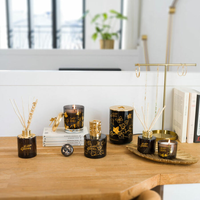 Quel diffuseur de parfum d'intérieur choisir ?