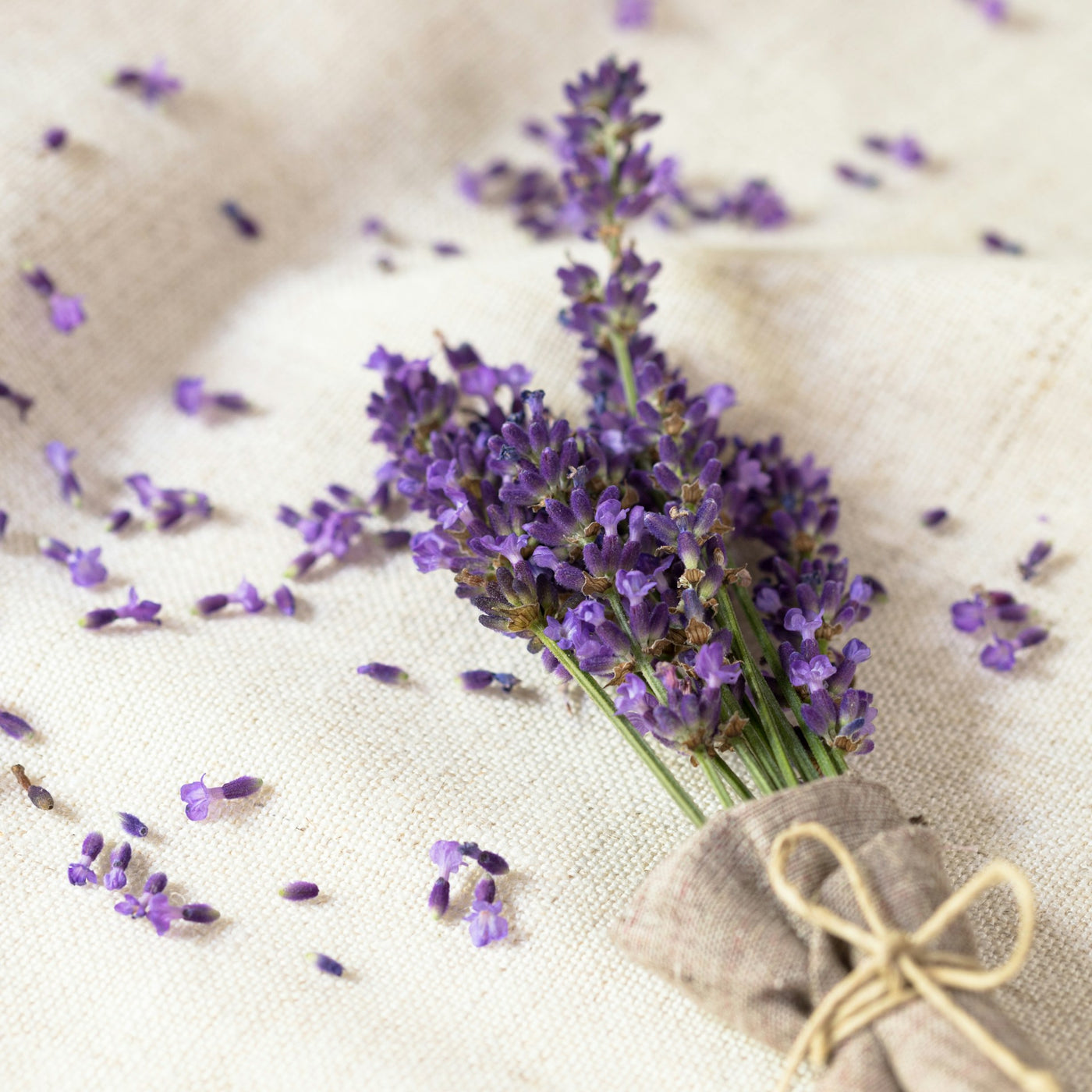 Diffuseurs de parfums à la lavande : fraîcheur et propreté dans votre intérieur