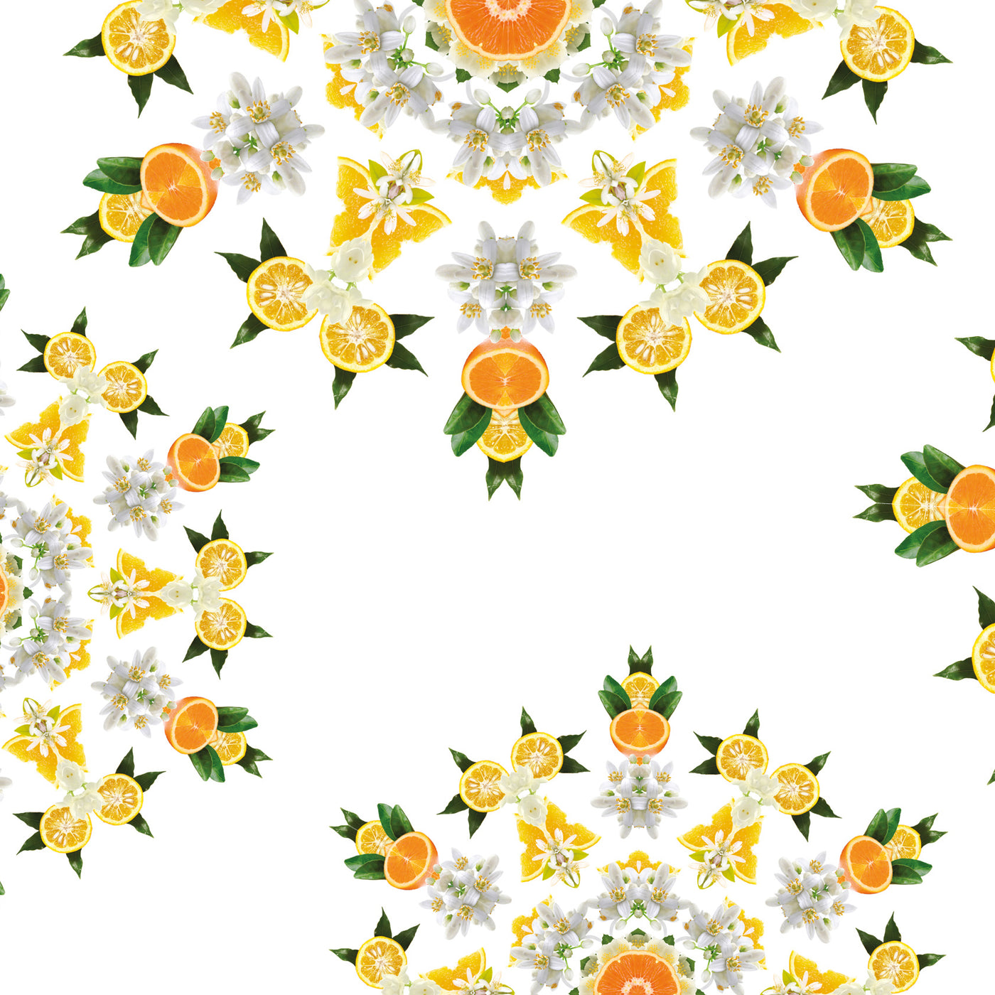 Fleur d'Oranger