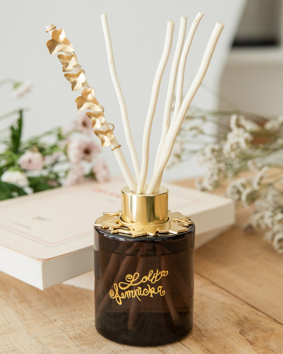Lampe Berger - Bâtonnets de parfum - Diffuseur de Bâtons parfumés avec  bâtonnets