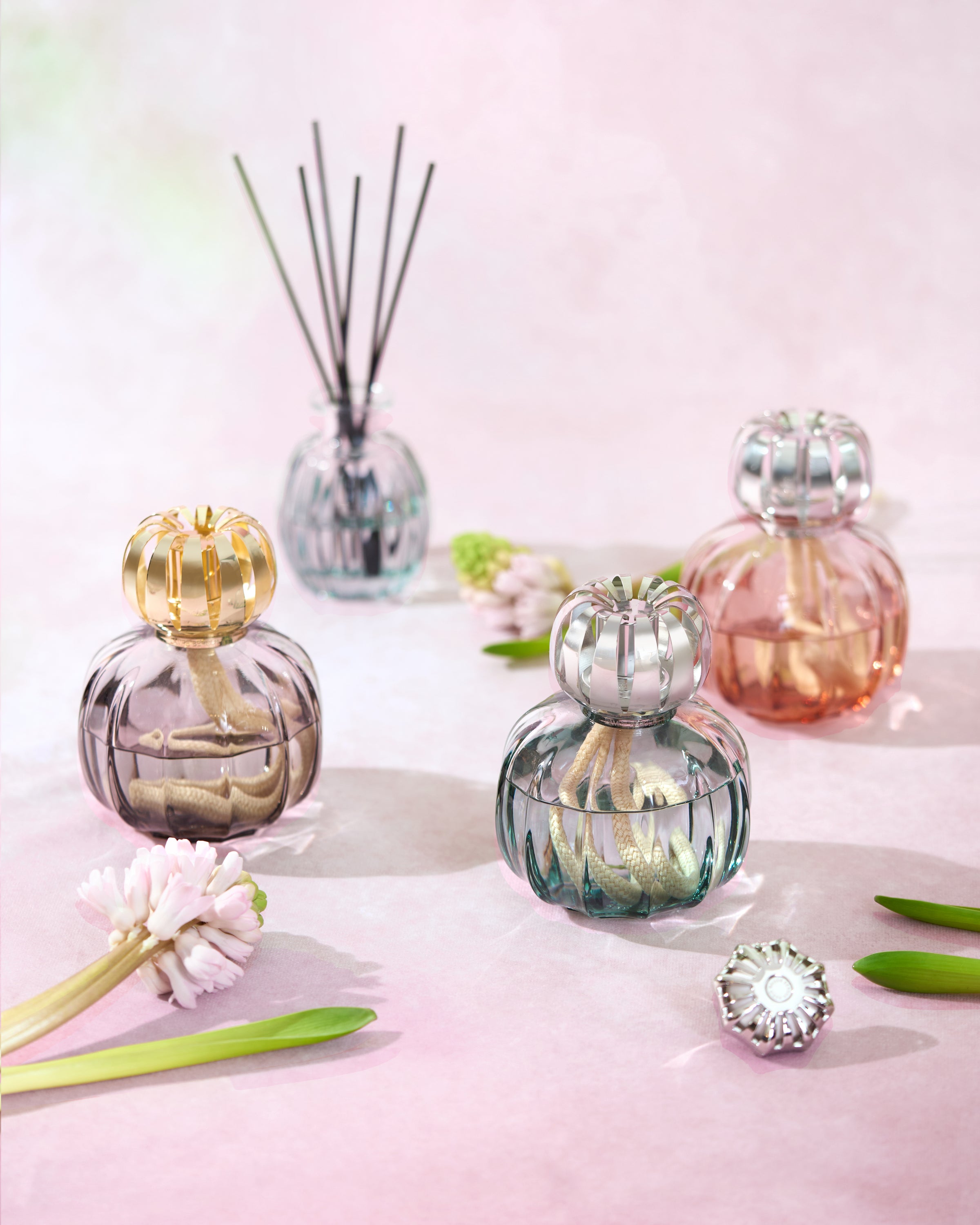 Nouvelle collection : Corali