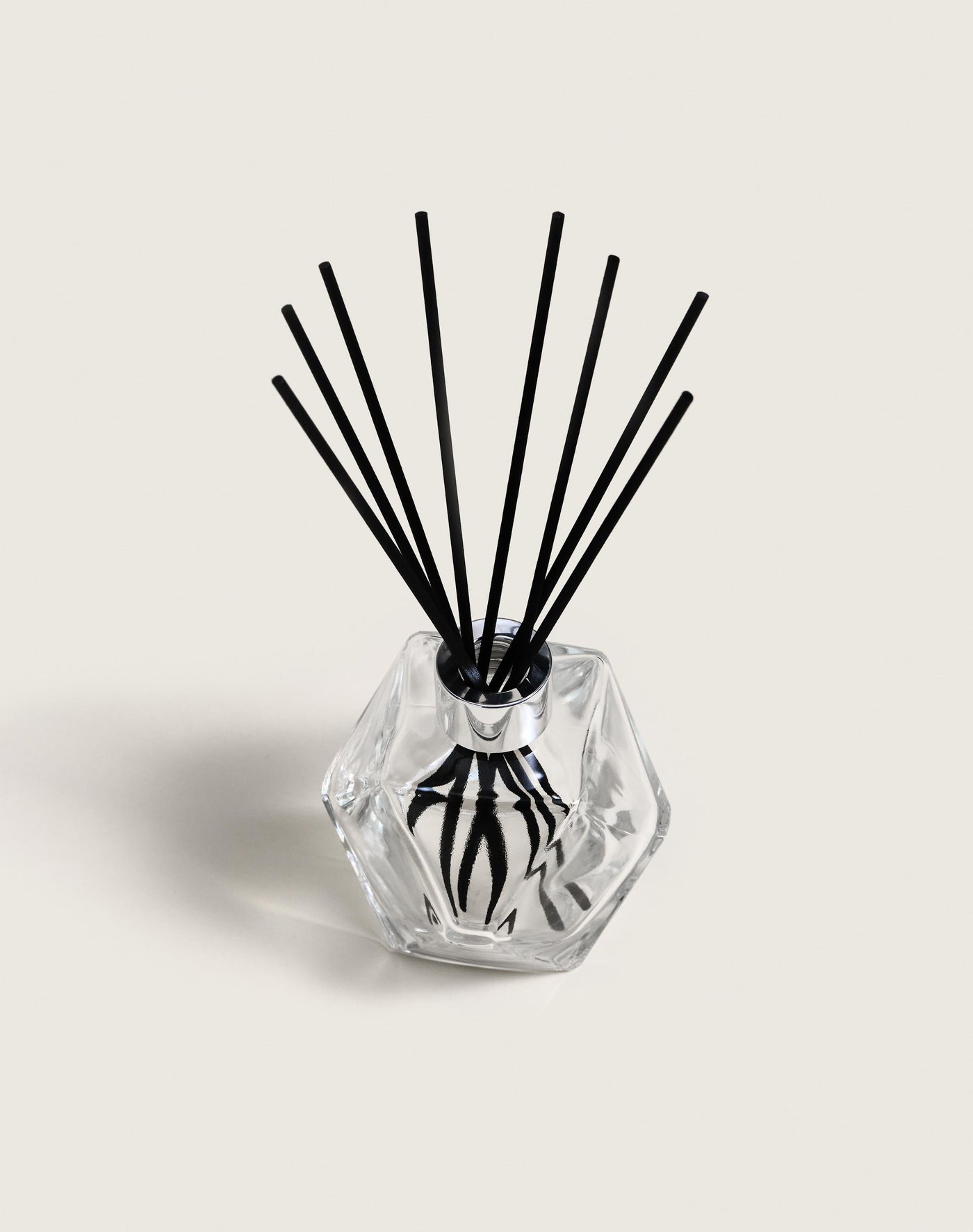 Bouquet Geometry Transparent
