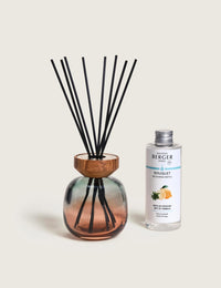 Bouquet parfumé Wood Zeste de Verveine