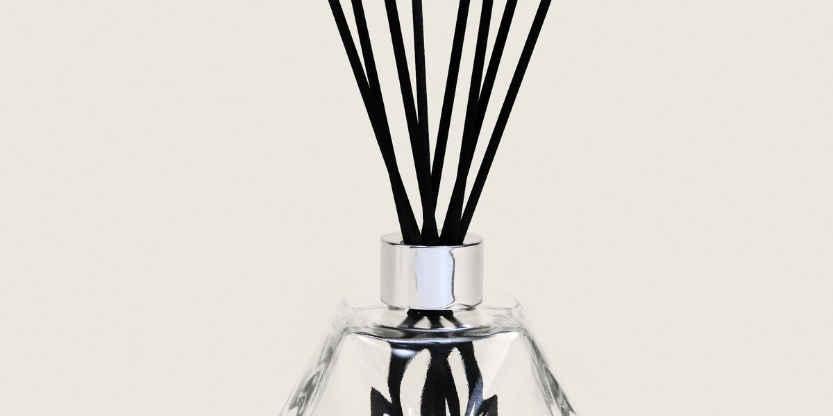 Bouquet Geometry Transparent