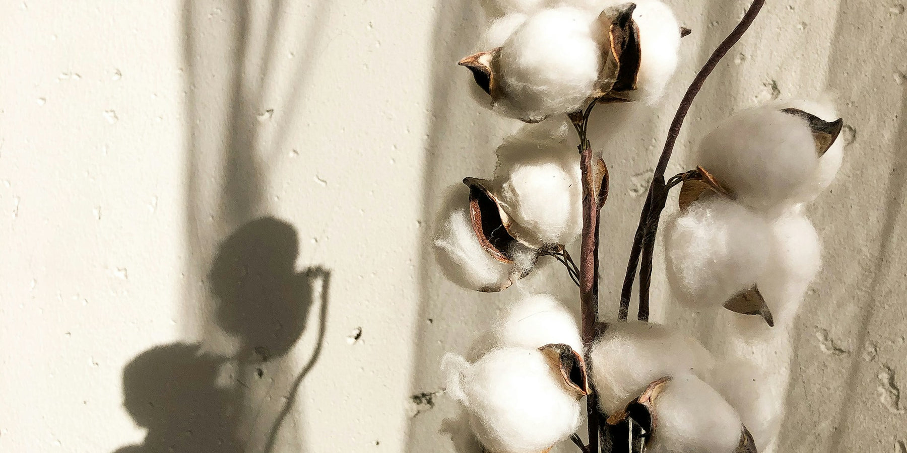 Diffuseurs de parfum Fleur de Coton : douceur et volupté dans votre intérieur
